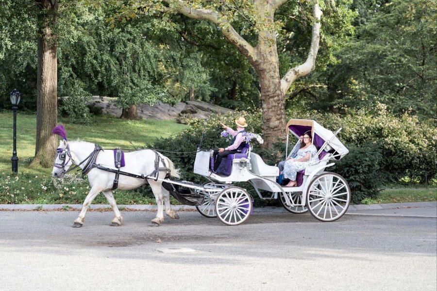 Royal Carriage Ride in Central Park NYC - Your About-1-Hour Private Route: Bethesda, Friends Fountain, Strawberry Fields
