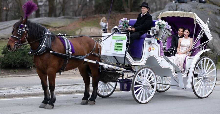 Royal Carriage Ride in Central Park NYC - VIP Means You Actually Avoid the Crowd Problem