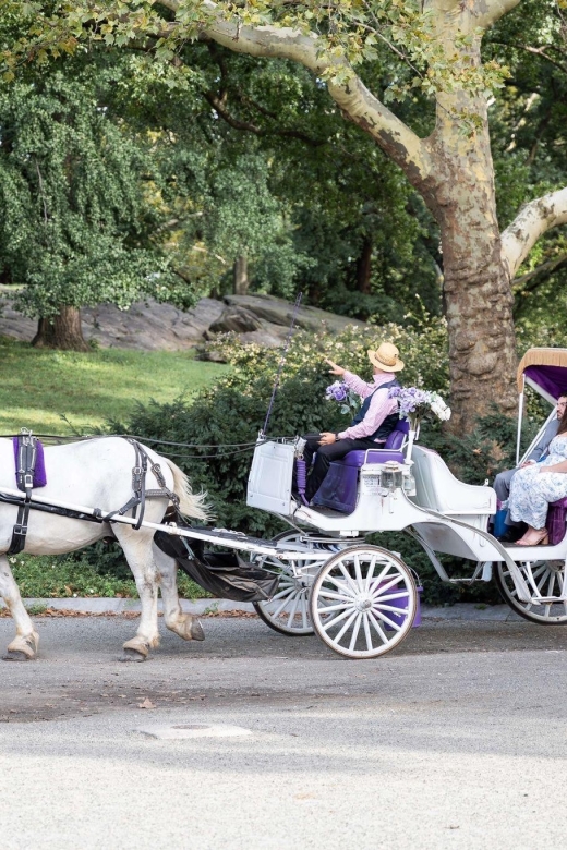 Royal Carriage Ride in Central Park NYC - Horses and Humane Care: What They Emphasize, and What You Should Look For