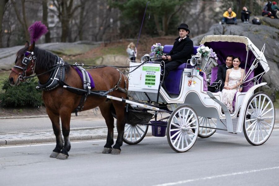 Royal Carriage Ride in Central Park NYC - Accessibility and Comfort: Built for More Than One Kind of Traveler