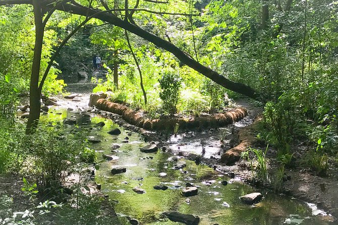 Secret Places of Central Park - Where you meet and how the 2.5-hour format feels in real life
