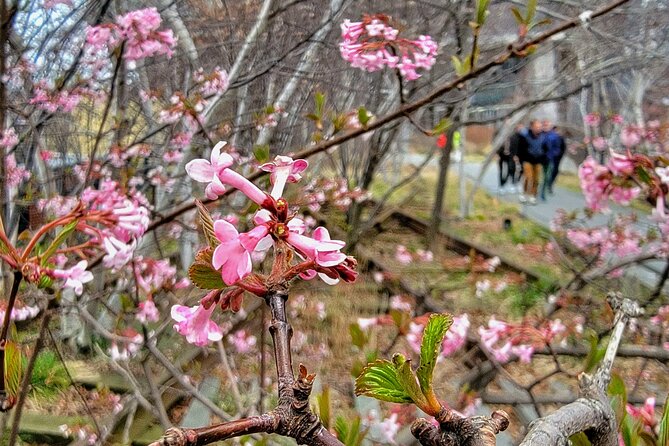 Secrets of the High Line - Why Chelsea Market + the High Line Works So Well