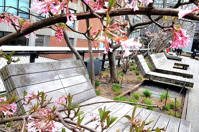 Secrets of the High Line - Little Island and the Tulip-Pot Concept: Timing and Crowds Matter