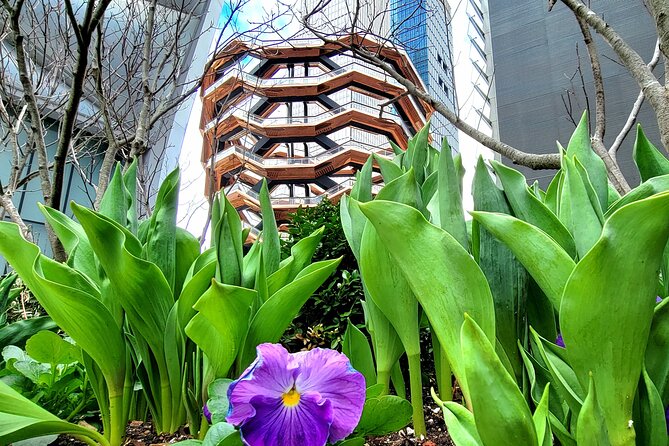 Secrets of the High Line - Hudson Yards Finale Near The Vessel: Where Your Camera Gets a Workout