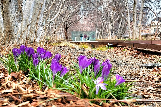 Secrets of the High Line - Chelsea Market Stop: A Quick, Useful First Bite of NYC