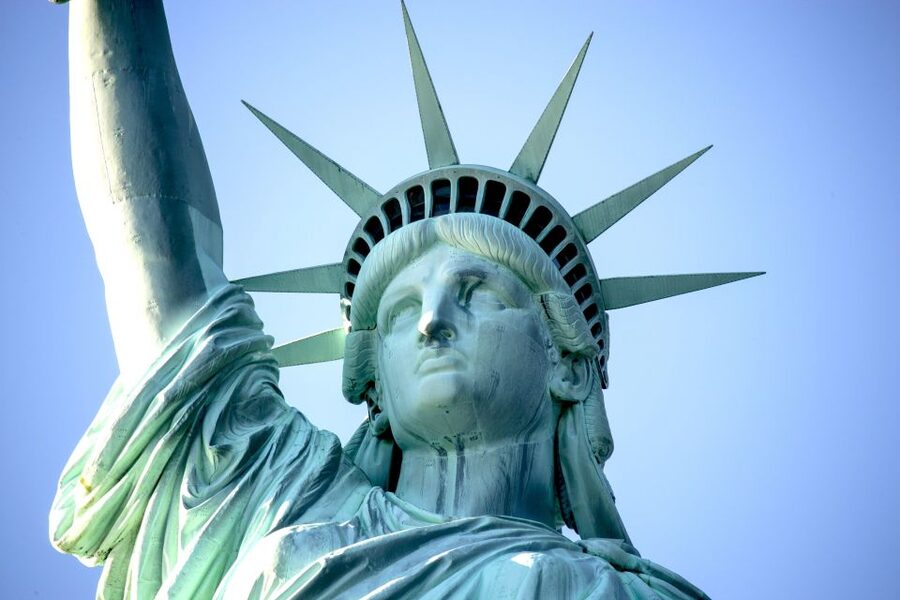 Statue of Liberty & Ellis Island - Guided Tour 8ppl Max - Crossing New York Harbor: the views are the preview