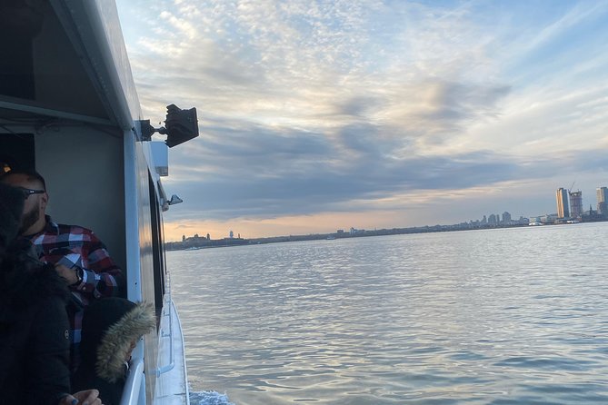 Statue of Liberty Sightseeing Cruise 60 Min - Who should book this cruise, and who might not love it