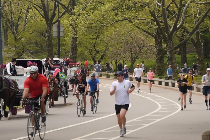 Story Behind Central Park: Manhattan’s Backyard, Wilderness by Design - Your virtual Central Park tour: origin, creation, and famous movie spots