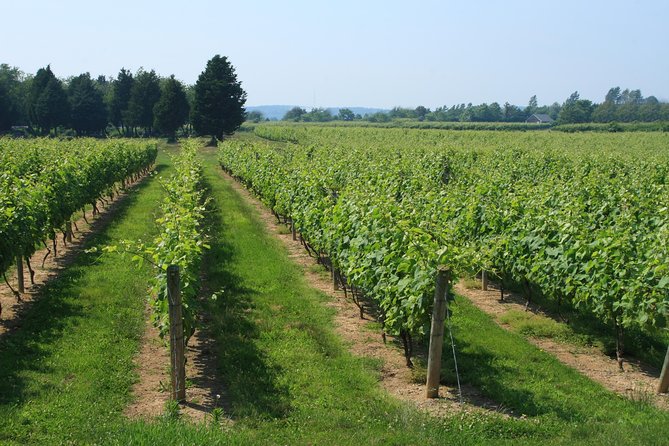 The Hamptons and Long Island Wineries Private Tour - Why This One-Day Hamptons and North Fork Plan Works