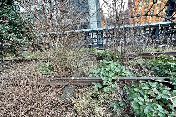 The Story of the High Line Elevated Park and Hudson Yards - The Meatpacking District revival: why this corridor mattered