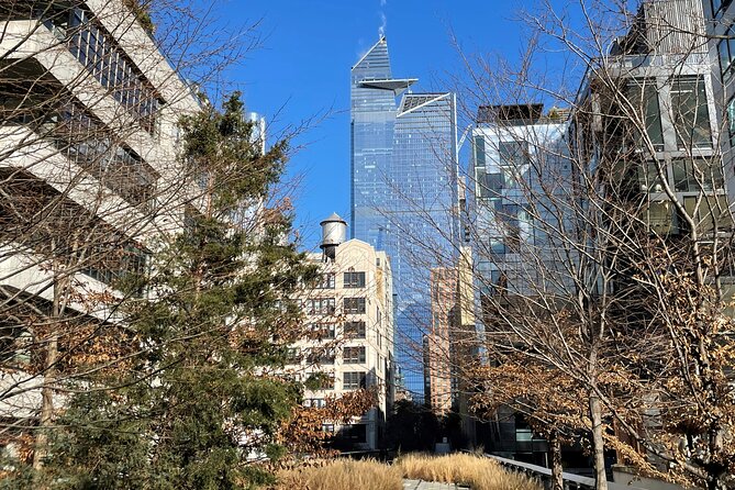 The Story of the High Line Elevated Park and Hudson Yards - Your $25 group ticket: virtual talk plus a map you keep