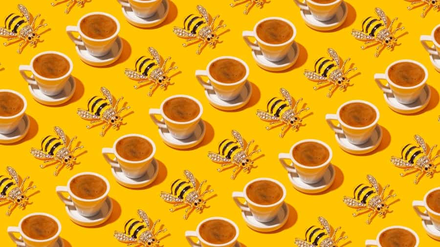 Turkish Coffee Fortune Ceremony - Key Points Worth Writing on Your Map