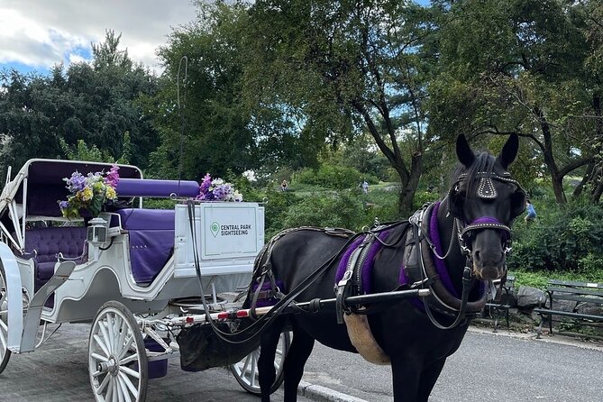 Unforgettable Luxury Horse and Carriage Tours in Central Park - Key things that make this Central Park carriage ride work