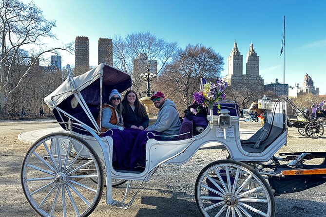Unforgettable Luxury Horse and Carriage Tours in Central Park - Meeting the horses at 200 W 59th St
