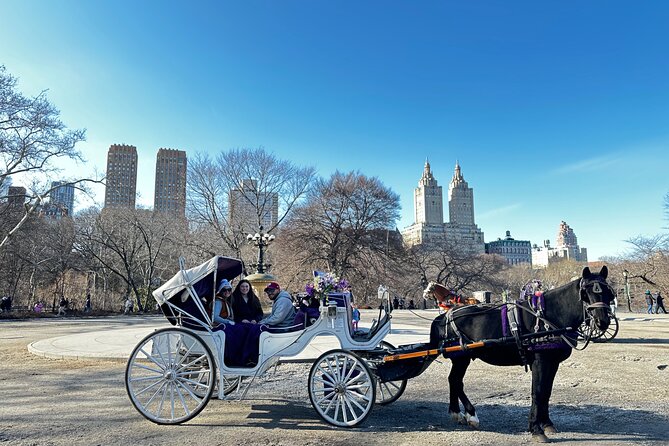 Unforgettable Luxury Horse and Carriage Tours in Central Park - The second-oldest marriage spot and a carousel with a film career