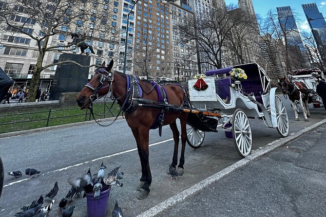 Unforgettable Luxury Horse and Carriage Tours in Central Park - The main entrance: where Central Park really starts