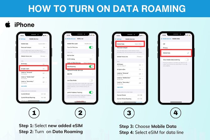 USA eSIM | 3-30 days | Daily data | QR code - Airport Purchase Option: Useful Backup When Plans Go Sideways