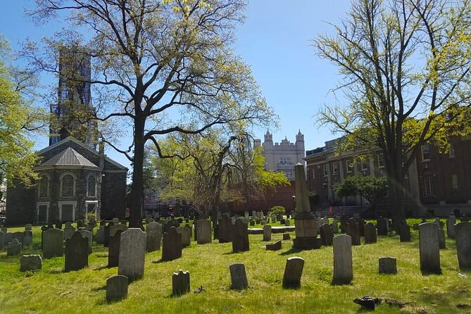 Victorian Flatbush , Brooklyn Private Tour - Why a private guide makes $225 feel fair