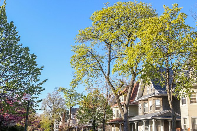 Victorian Flatbush , Brooklyn Private Tour - The 2-hour route: from Flatbush Avenue to the Ditmas Park area