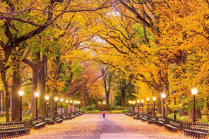 VIP Central Park Champagne Tour with Photos(50 min)~Skip the line - Key things to know before you go