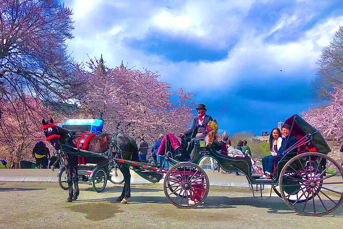 VIP Central Park Champagne Tour with Photos(50 min)~Skip the line - Why this champagne carriage works so well in Central Park