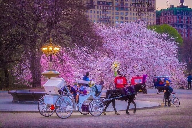 VIP Central Park Champagne Tour with Photos(50 min)~Skip the line - Mario’s touch: charisma, park know-how, and great photo spots