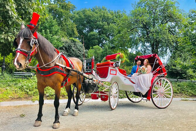 VIP Central Park Champagne Tour with Photos(50 min)~Skip the line - Choosing a time: when VIP carriage rides feel best