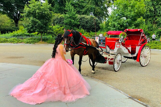 VIP Central Park Champagne Tour with Photos(50 min)~Skip the line - Price value: what $269.99 gets you and who it’s for
