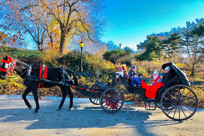VIP Central Park Experience Tour with photos 50min~Skip the line - Price and comfort: when $199.99 per group makes sense