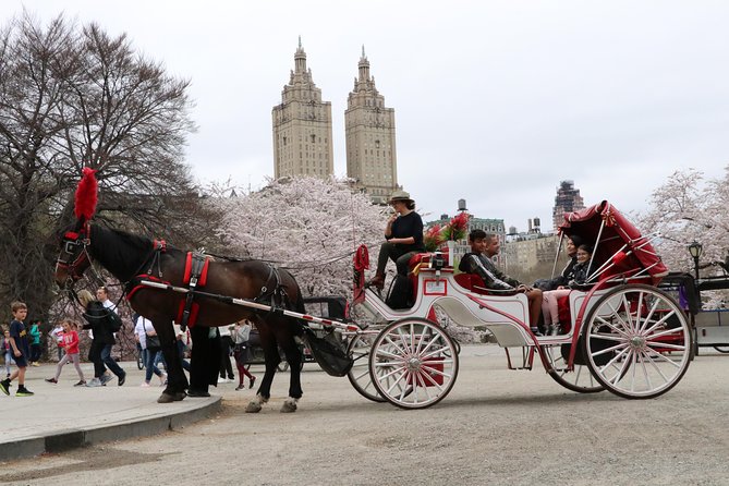 VIP Horse Carriage Ride through Central Park (Up to 4 Adults) - Price and value: $265 per carriage, up to four people