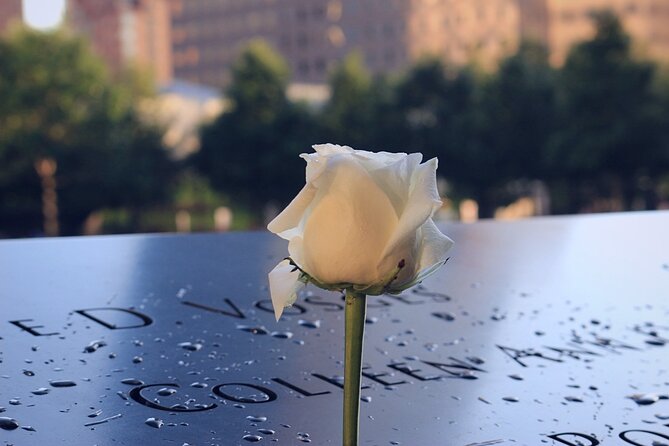 Wall Street & Financial District Private Walking Tour - The big fork in the road: 9/11 Memorial or the Seaport finale