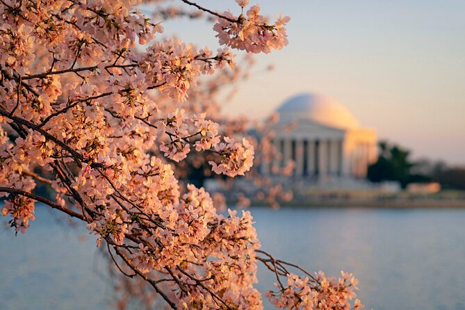 Washington D.C.& Philadelphia 2-Day Tour from New York City - Simple packing and timing tips before you go