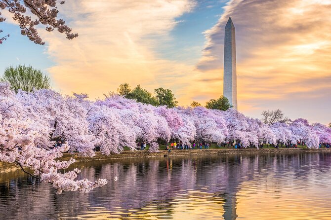 Washington DC Day Tour from New York City - A one-day Washington DC sprint from Manhattan