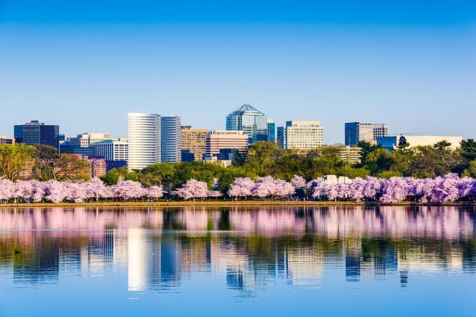 Washington DC & Philadelphia 1-Day Guided Tour from NYC - The Arlington-adjacent memorial vibe: fast lessons, big emotions